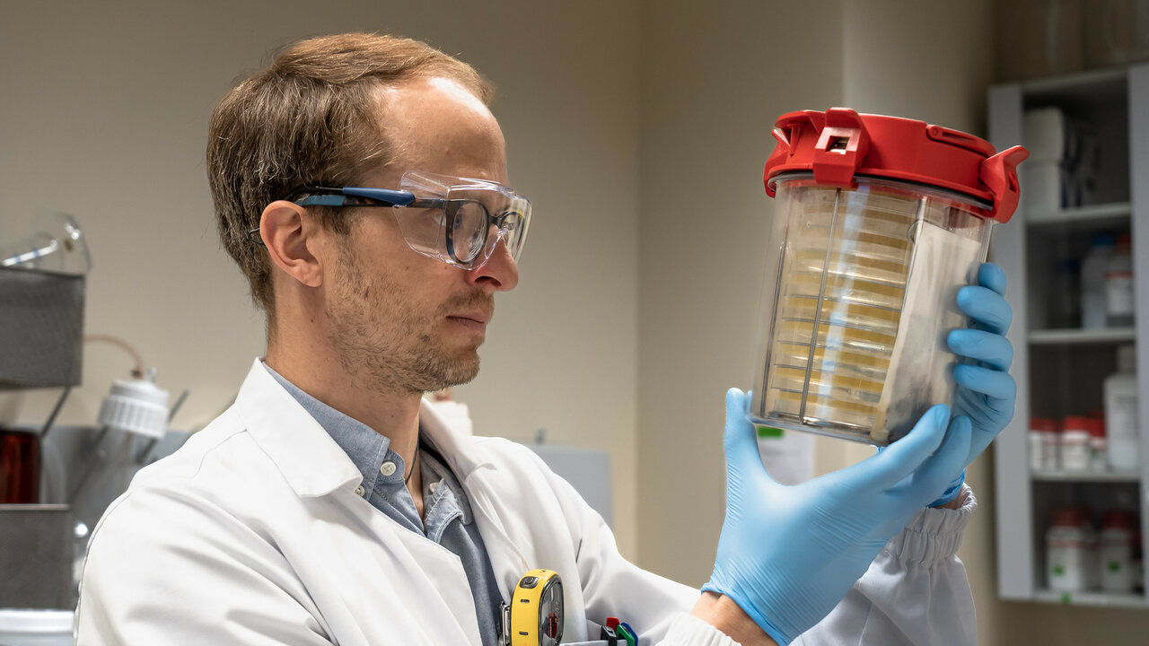 valgepea Kaspar Valgepea